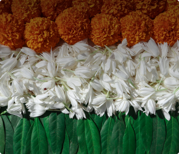 Colours Of India
